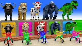 PAW Patrol Rescue Wheels Adventures! | Long Slide Game | 3d Animal Game Funny 3d Animals