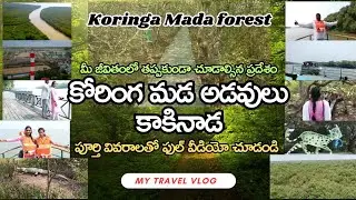 Koringa Mada forest full video | కోరింగ మడ అడవి | Koringa Mangro forest video #koringa #korangi