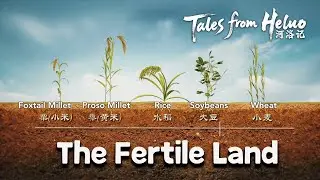 The Fertile Land | Tales of Heluo | CGTN Documentary