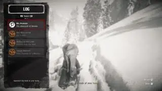 Bad shot on deer