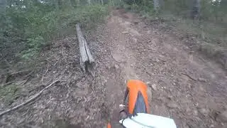 Possum brush