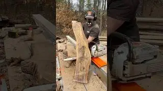 DIY Wood Projects Start with Black Walnut Slabs Like These! Stihl MS 661 and Logosol F2+