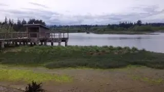 Estuary VM
