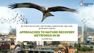 Approaches To Nature Recovery Networks In NI