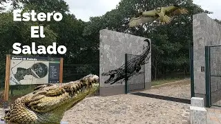 A la aventura Estero El Salado
