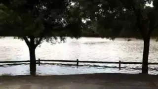 Wellington Floods