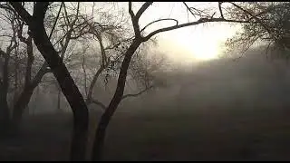 beautiful morning