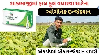 ફાલ ફૂલ વધારવા માટેના ઓર્ગેનિક ઇન્જેક્શન | ઓર્ગેનિક ઇન્જેક્શન | Organic Injection | Stamina