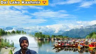 Explore The Dal Lake: Kashmir ka Khajana 