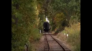 What is fall foliage in Connecticut looking like this year?