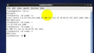 Find Linux / UNIX Kernel Version