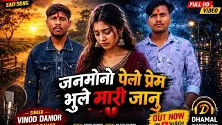 Singer Vinod damor new song 2026 लाड़ली न्यू सॉन्ग 2026 सिंगर रमेश पारगी 2026 new song timli