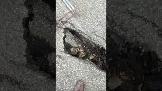DOCUMENTAZIONE ALLEGATA ALLA PEC DEL 11.01.2026 INDIRIZZATA AL COMUNE DI CASOLE D'ELSA