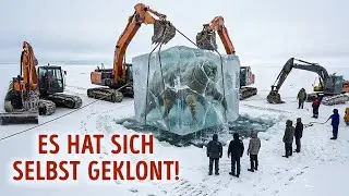 Wissenschaftler erwecken ein Wesen zum Leben, das seit 20.000 Jahren in Sibirien eingefroren war