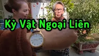 Kỷ Vật Trên 30 Năm Ngoại Liên Dành Cho Mẹ Phượng Kapy #kapytango #doanvanbau