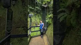 Shanklin Chine: The Isle of Wight's Secret Garden