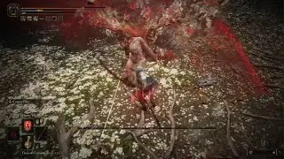ELDEN RING - Solo Malenia - Epic Boss Fight