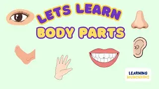 Learning Body Parts | Educational Video for Toddlers & Preschool