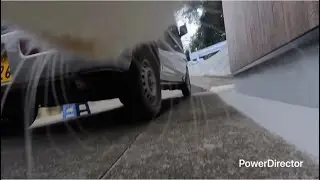 人も猫も出掛ける日