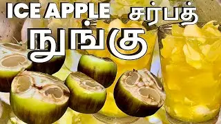 நுங்கு சர்பத் ICE APPLE SARBATH NUNGU SARBATH #youtube #food #drink #healthy 