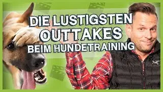 Die lustigsten OUTTAKES der Doguniversity: Das kann beim Hundetraining alles schiefgehen