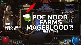 POE Noob finally farms a Mageblood since Metamorph League
