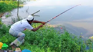 Hook Fishing - Traditional Hook Fishing - MR Fishing Life (Part-318)