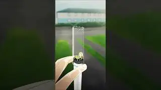 This grasshopper got stuck ( animated version )#animationmeme#shorts#shortfeed