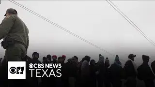 What do Trump's immigration-related executive orders do?