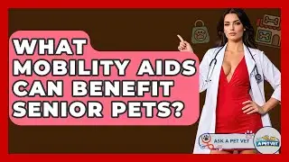 What Mobility Aids Can Benefit Senior Pets? - Ask A Pet Vet