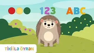 Tiki ilə tanışlıq 🦔 | Uşaqlar &uuml;&ccedil;&uuml;n video |  Azərbaycan dilində cizgi film