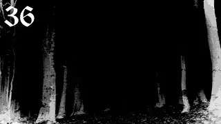 Depressive black metal #36