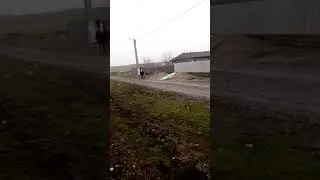 Invatam caii la calarie