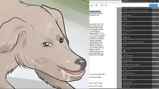 joshua connor moon laughs at disabled animal