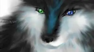 Anime Wolves - How you remind me