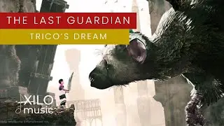 TRICO'S DREAM - The Last Guardian | Ethereal 8-String & Multi-Instrumental Cover