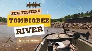 Ловля кошек на Tombigbee | TimberHook Juglines в действии!