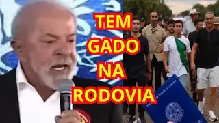 CAMINHADA DO GADO FRACASSA e VIRA PIADA, LULA RESPONDE SOBRE AS FAKE NEWS - EMBOLADA