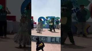 Cocodrilo dante en el quisco