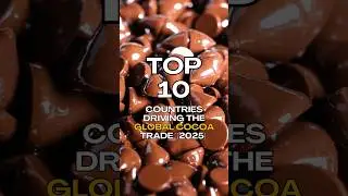 Top Cocoa Producing and Importing Countries in the World 2025 🍫🌱