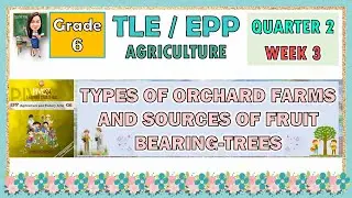 TLE 6 AGRICULTURE QUARTER 2 WEEK 3 | TYPES OF ORCHARD FARMS AND SOURCES OF FRUIT BEARING-TREES