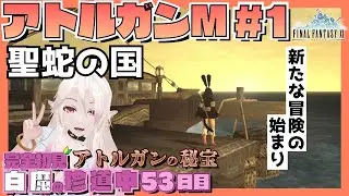 【FF11】アトルガンMがついに始まる！新たな冒険の始まりだああ！【完全初見#53】