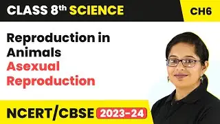 Asexual Reproduction - Reproduction in Animals | Class 8 - Science - Chapter 6