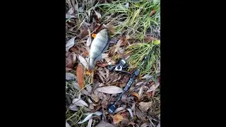 Abu Garcia Mass Beat - качает :). Похождения мормышингового комплекта.