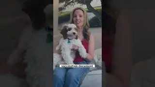 Bringing Your Pets to the US 🐾🐶