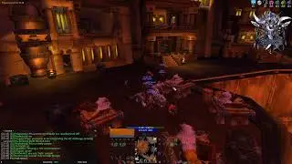 Run #10 lvl 19+ WoW HC Druid
