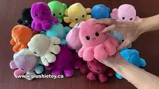 Check out our Brand New Octopus Plush Toys