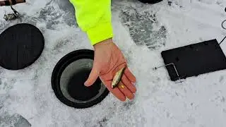 Original Finicky Fooler Tip-Up Setup - 2023