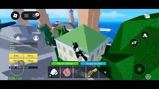 I became a marine leader in blox fruits 