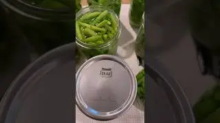 Beginners Canning Recipe- Green Beans @mountain_girl_makes_it
